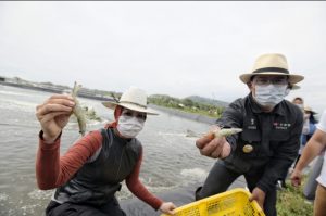 Ridwan Kamil Dorong Budi Daya Udang di Pantai Selatan Jabar