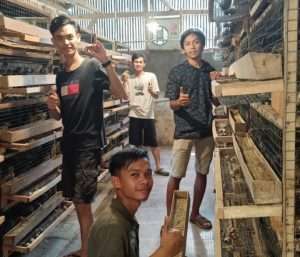 Program Magang bagi Petani Milenial Ternak Puyuh Sudah Bergulir