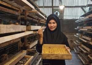 PETANI MILENIAL: Pemagangan Modal Utama Calon Petani Sebelum Mandiri