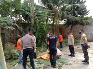 Maksud Petik Buah Pepaya, Malah Temukan Mayat Menggantung