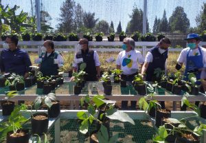 Perkuat Program Petani Milenial, Pemprov Sosialisasi ke 18 Kabupaten