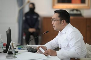 Lewat Digitalisasi, Ridwan Kamil Ingin Ekonomi Desa Meningkat