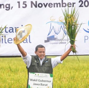 Jabar Panen Raya Petani Milenial Komoditas Padi