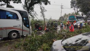 Pohon Tumbang Picu Kemacetan di Jalan Raya Ciawi – Malangbong