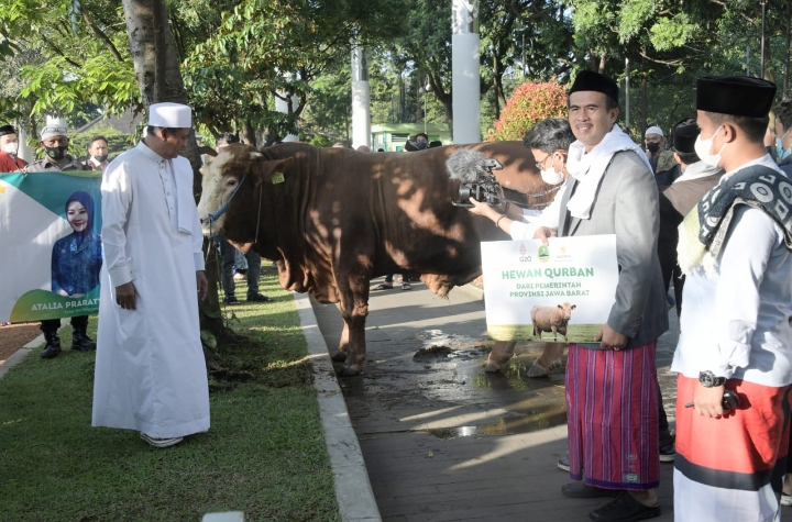 Pemprov Jabar Serahkan Bantuan Sapi Satu Ton