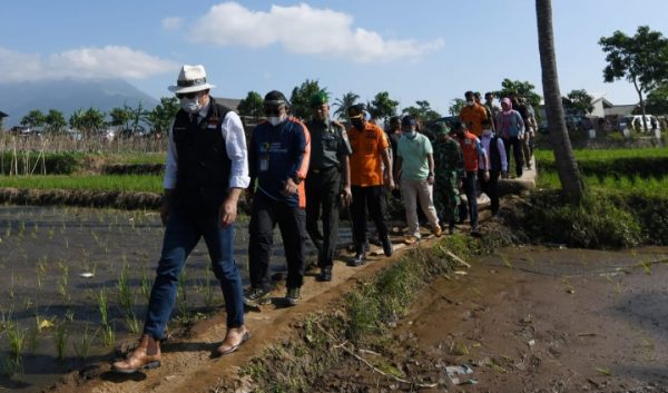 Jabar Masifkan Penghijauan Lahan Kritis