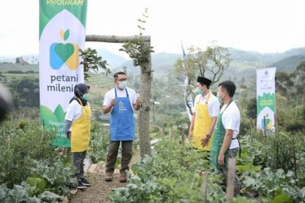 Kemelut Program Petani Milenial, Pemprov Jangan Tinggal Diam!