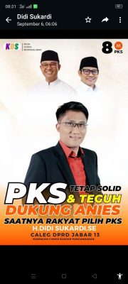 Didi: Anies Punya Karakter Politik yang Menyejukkan