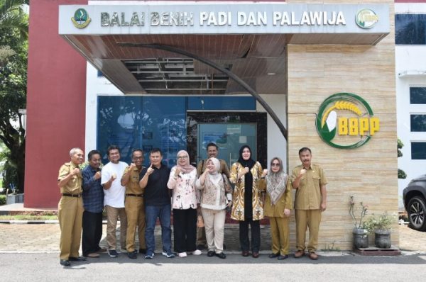 Komisi II Mendesak: Tindakan Cepat Diperlukan untuk Atasi Krisis Beras