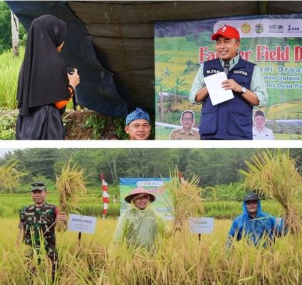 Pencapaian Petani Cipatujah dalam Budidaya Padi Organik