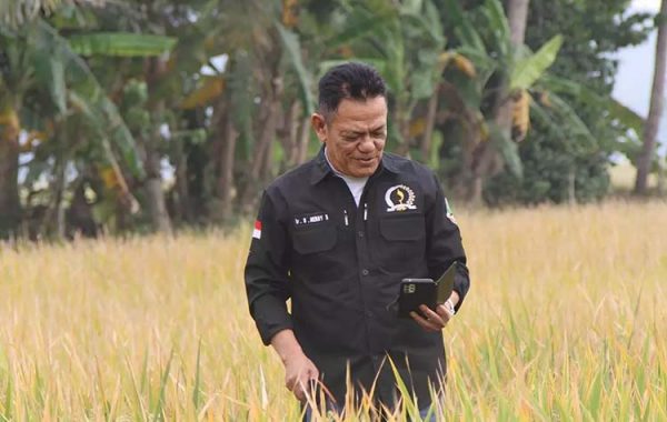 Herry Soroti Upaya Peningkatan Ketahanan Pangan di Jawa Barat