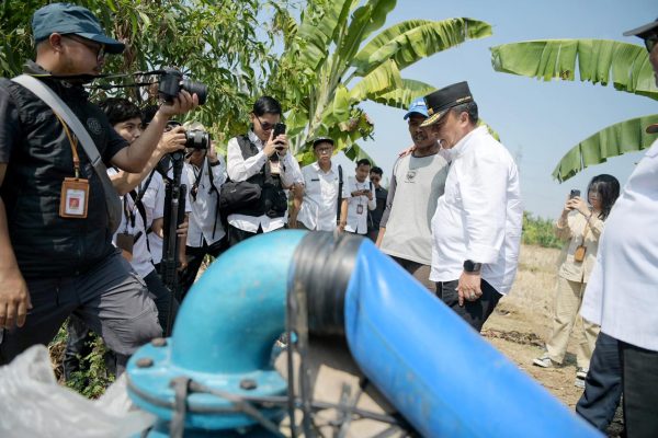 Produksi Gabah Kering Giling Jabar  Tahun 2024 Ditargetkan Capai 11 Juta Ton