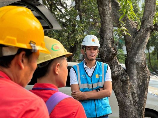 PLN Imbau Jarak Aman Jaringan Listrik Saat Pasang Asesoris Kemerdekaan